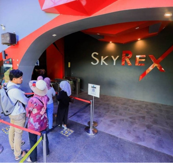 4 in 1 Panorama Langkawi Skycab Cable Car + SkyDome + Skyrex + 3D Art Admission Ticket