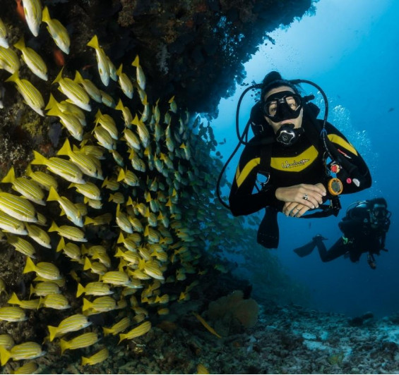 Tun Sakaran Marine Fun Dive (3 Dives)